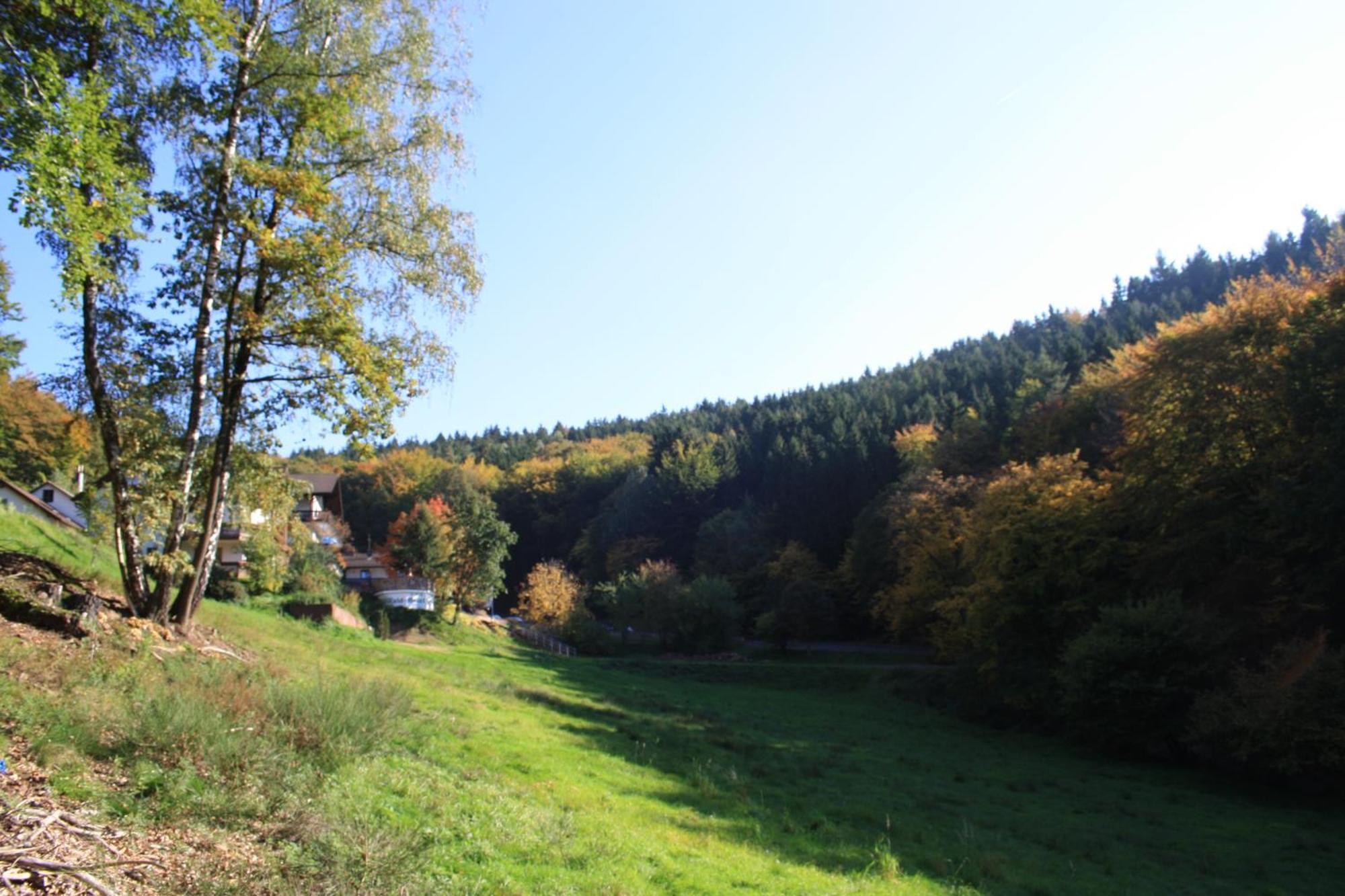 Wald-Hotel Heppe Dammbach ภายนอก รูปภาพ