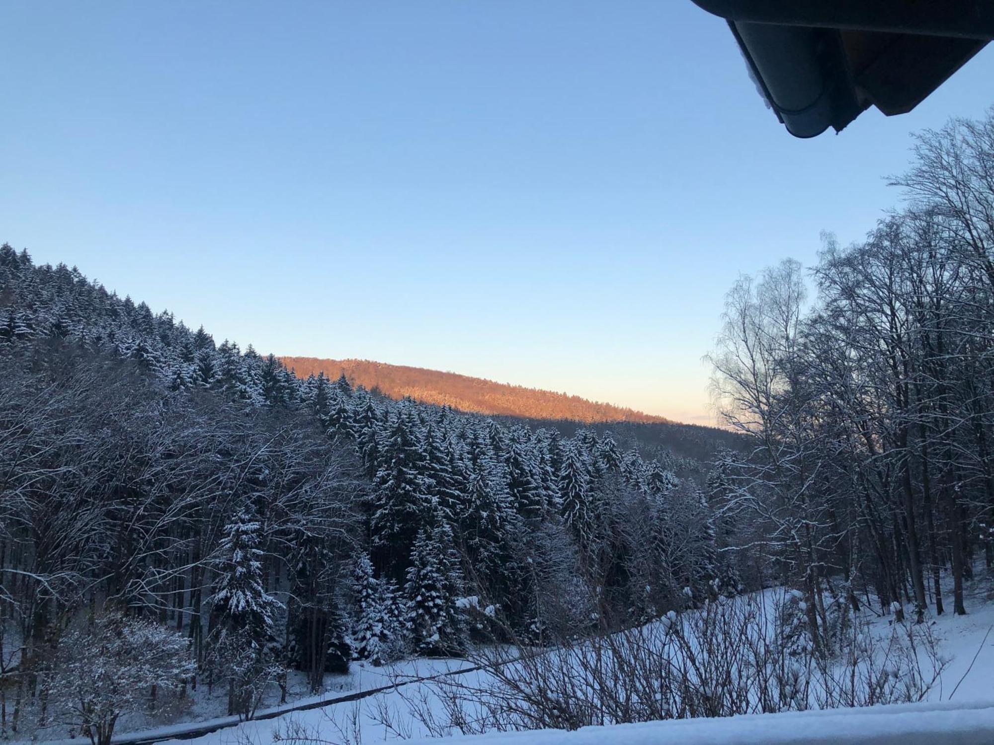 Wald-Hotel Heppe Dammbach ภายนอก รูปภาพ
