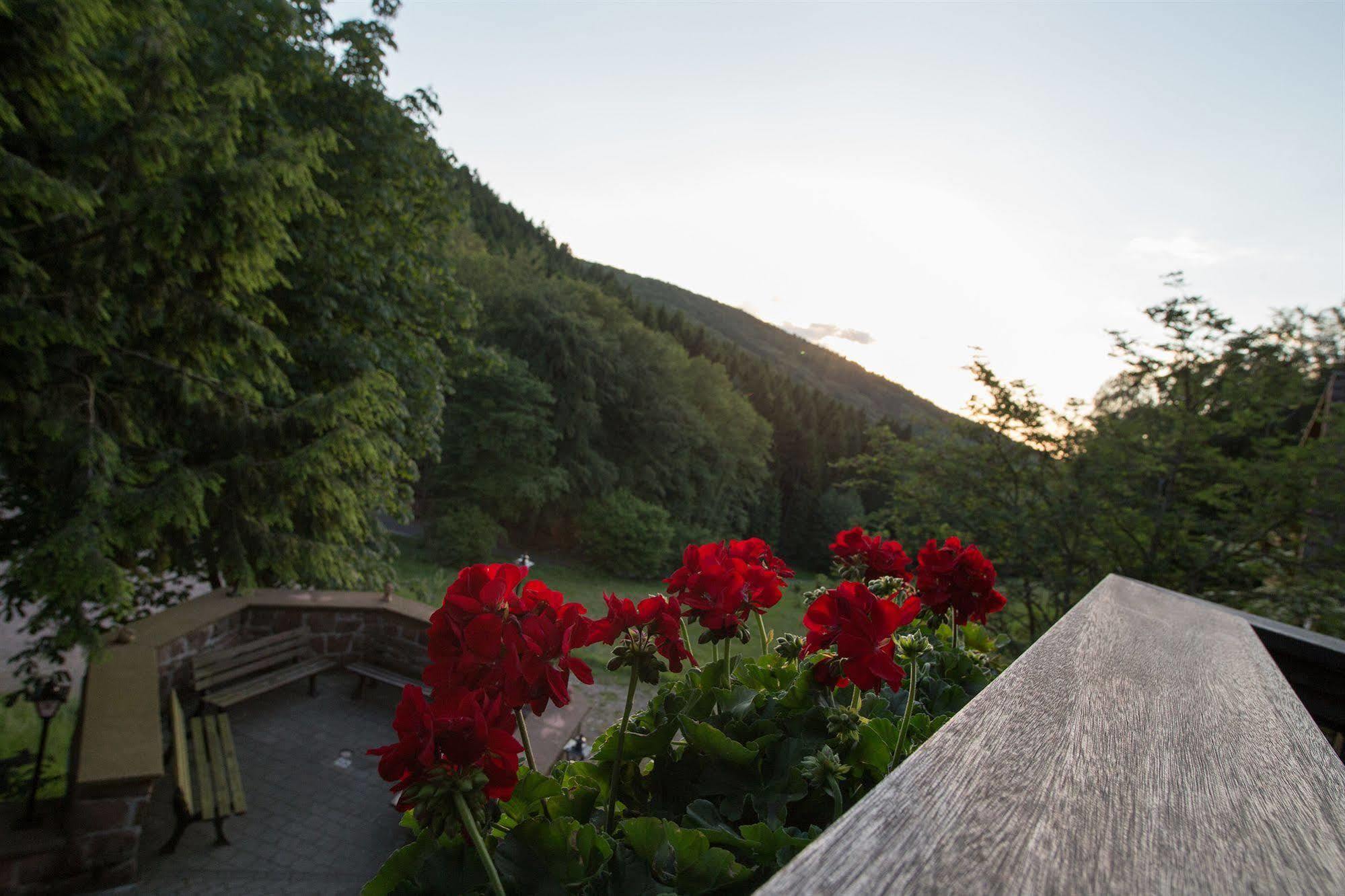 Wald-Hotel Heppe Dammbach ภายนอก รูปภาพ